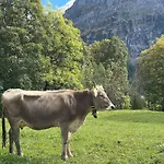 Apartman Wieseli By Interhome Grindelwald