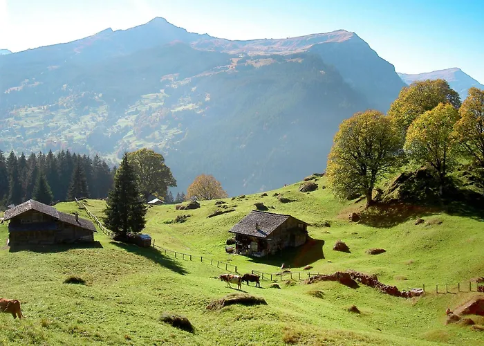 Wieseli By Interhome Apartment