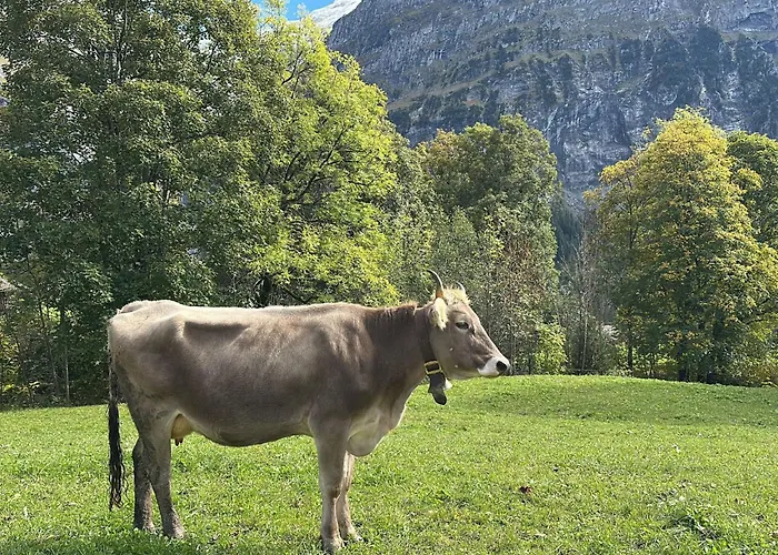 Apartamento Wieseli By Interhome Grindelwald